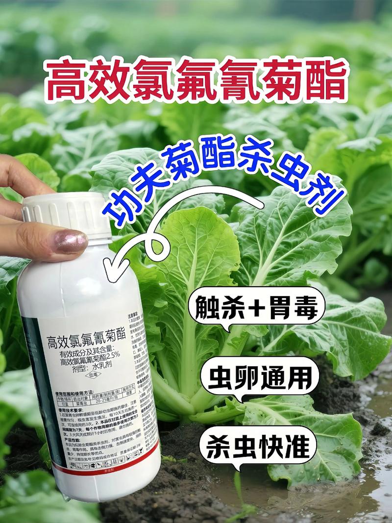 彭水代生中心:农药对供卵代生妈妈的危害